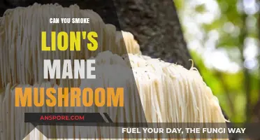 Can You Smoke Lion's Mane Mushroom? Facts and Safety Tips