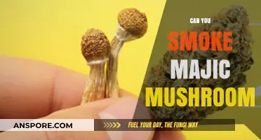 Smoking Magic Mushrooms: Risks, Effects, and Safer Consumption Methods