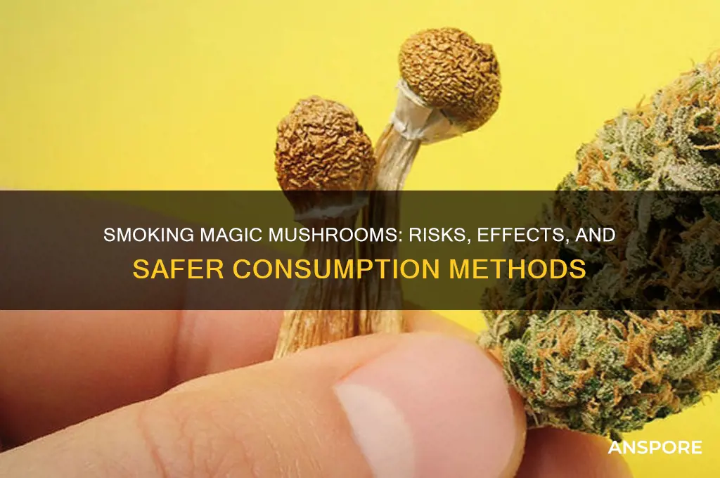 can you smoke majic mushrooms