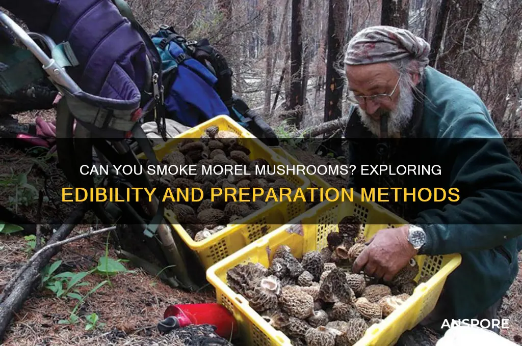 can you smoke morel mushrooms