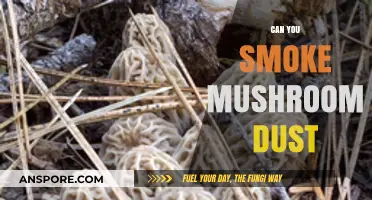Smoking Mushroom Dust: Risks, Effects, and What You Need to Know