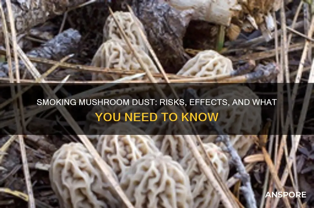 can you smoke mushroom dust
