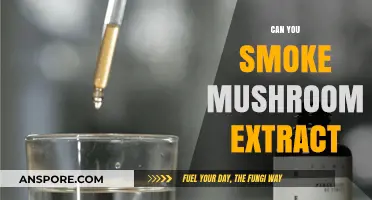 Smoking Mushroom Extract: Risks, Benefits, and What You Need to Know