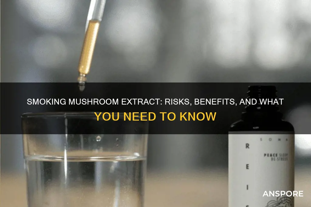 can you smoke mushroom extract