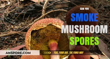 Smoking Mushroom Spores: Risks, Effects, and Legal Considerations Explained