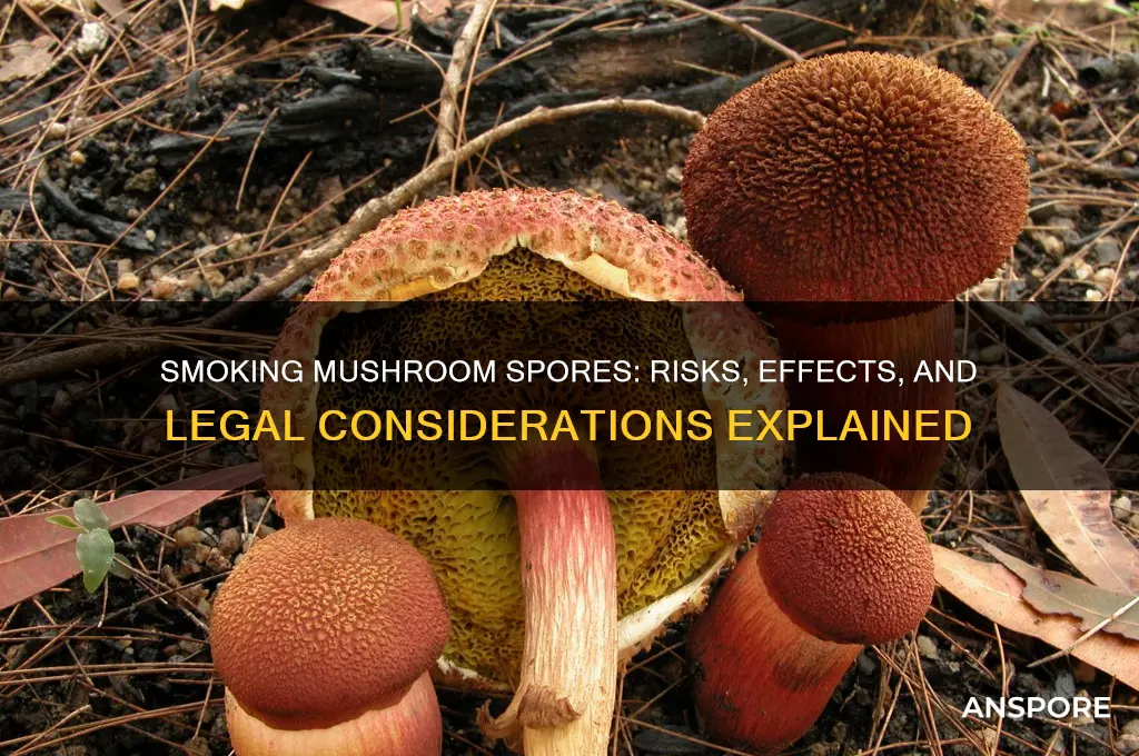 can you smoke mushroom spores