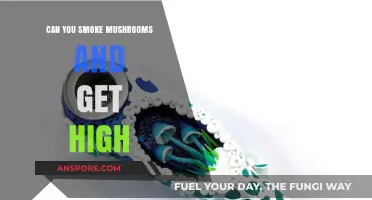Smoking Mushrooms: Can It Really Get You High? The Truth Revealed