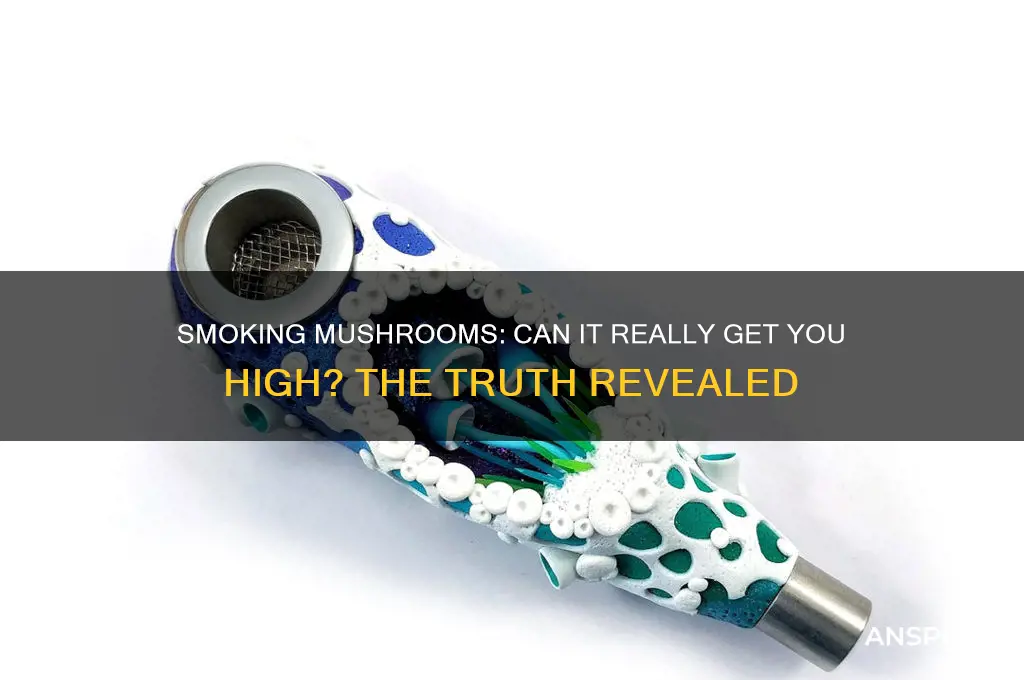 can you smoke mushrooms and get high