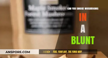 Smoking Mushrooms in a Blunt: Risks, Effects, and Alternatives Explained