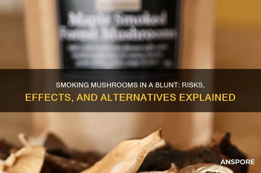 can you smoke mushrooms in a blunt