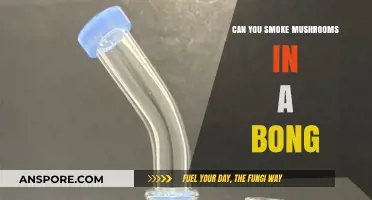 Smoking Mushrooms in a Bong: Risks, Effects, and Alternatives Explained