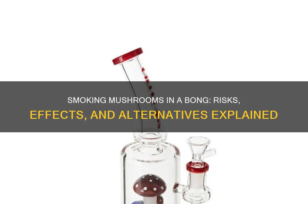 can you smoke mushrooms in a bong