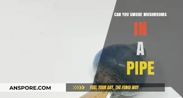 Smoking Mushrooms in a Pipe: Risks, Effects, and Alternatives Explained