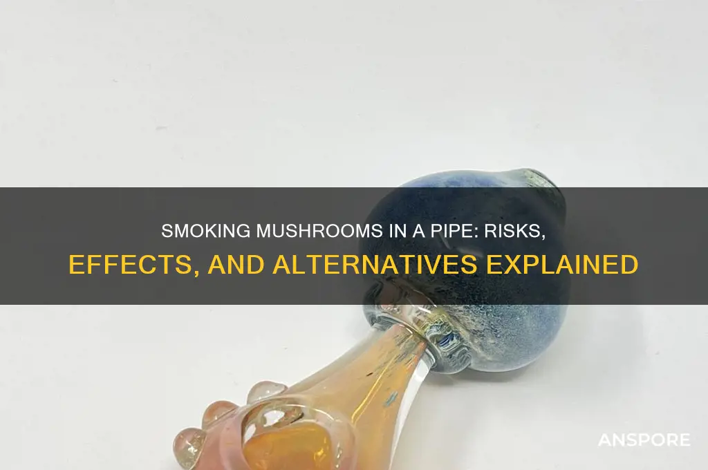 can you smoke mushrooms in a pipe
