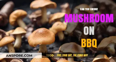 Smoking Mushrooms on the BBQ: Tips, Tricks, and Flavorful Results