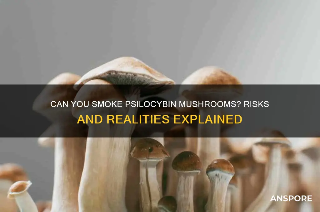 can you smoke phsilibun mushrooms