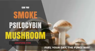 Smoking Psilocybin Mushrooms: Risks, Effects, and Safer Consumption Methods