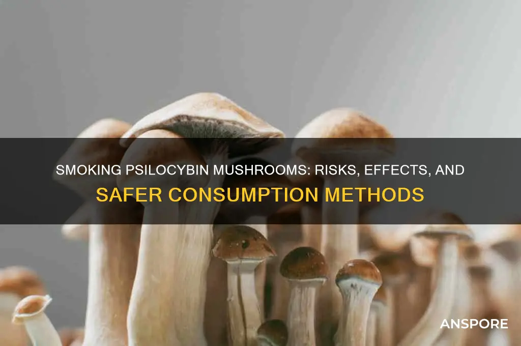 can you smoke psilocybin mushroom