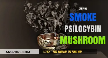 Smoking Psilocybin Mushrooms: Risks, Effects, and Safer Consumption Methods