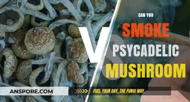 Smoking Psychedelic Mushrooms: Risks, Effects, and Safer Alternatives Explained