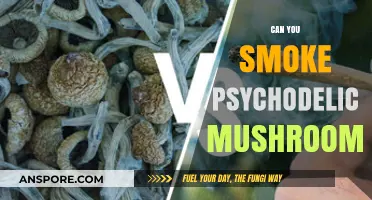 Smoking Psychedelic Mushrooms: Risks, Effects, and Safer Alternatives Explained