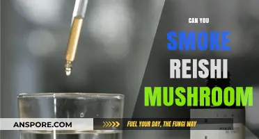Can You Smoke Reishi Mushroom? Exploring the Facts and Myths