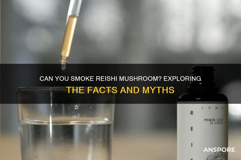 can you smoke reishi mushroom