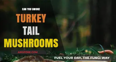 Smoking Turkey Tail Mushrooms: Benefits, Risks, and How-To Guide