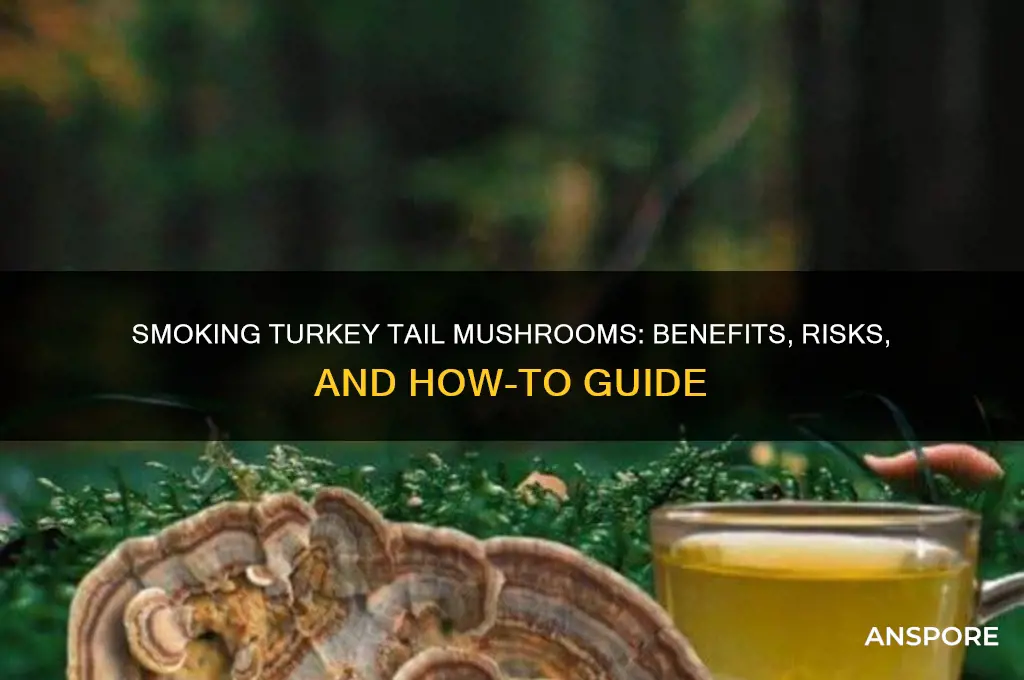can you smoke turkey tail mushrooms