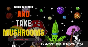 Weed and Mushrooms: Mixing Cannabis and Psilocybin Safely Explained