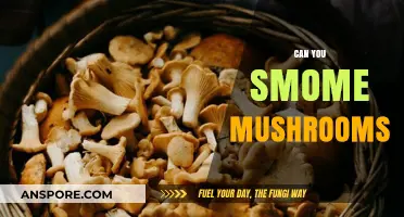 Can You Smoke Mushrooms? Exploring the Risks and Realities