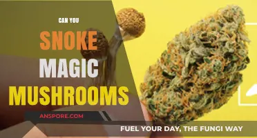 Exploring the Risks and Realities of Smoking Magic Mushrooms