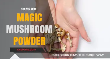 Snorting Magic Mushroom Powder: Risks, Effects, and Safety Concerns