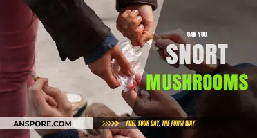 Snorting Mushrooms: Risks, Effects, and Why It’s Not Recommended