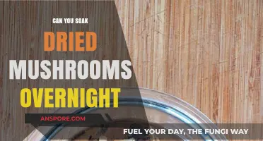 Overnight Soaking Dried Mushrooms: Tips, Benefits, and Best Practices