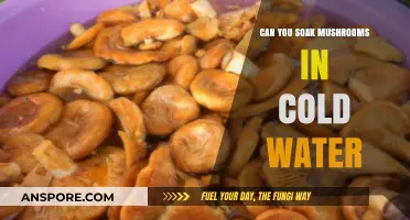 Soaking Mushrooms in Cold Water: Benefits, Risks, and Best Practices