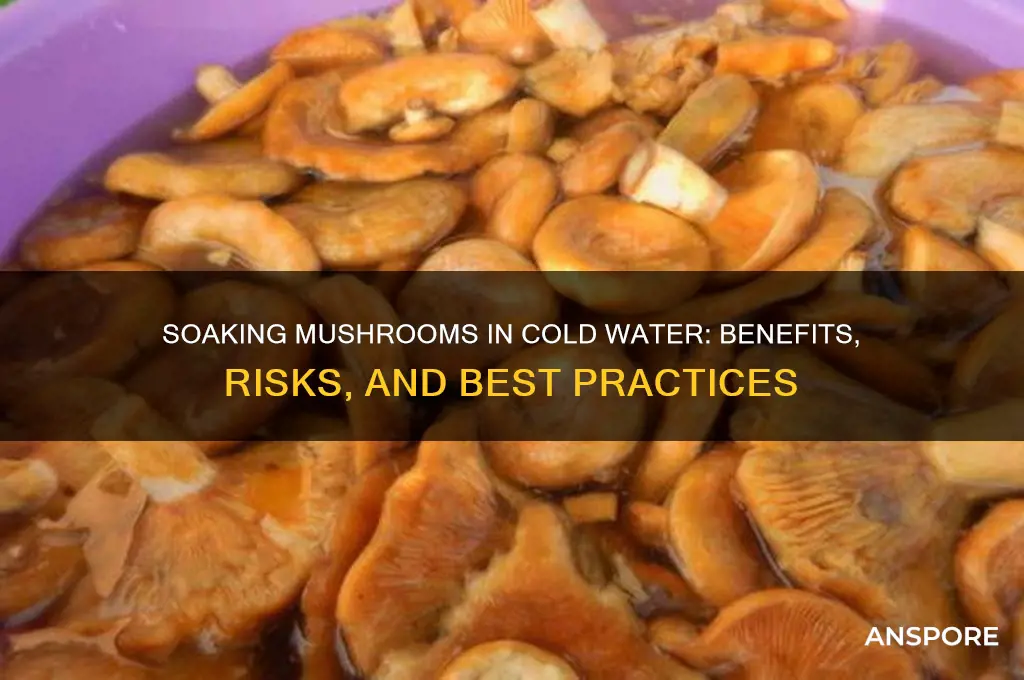 can you soak mushrooms in cold water