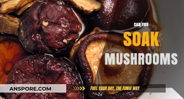 Can You Soak Mushrooms? A Guide to Proper Mushroom Preparation