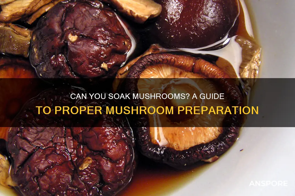 can you soak mushrooms