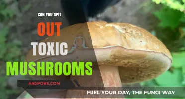 Spitting Out Toxic Mushrooms: A Survival Myth or Effective Strategy?