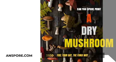 Spore Printing Dry Mushrooms: Techniques, Challenges, and Best Practices