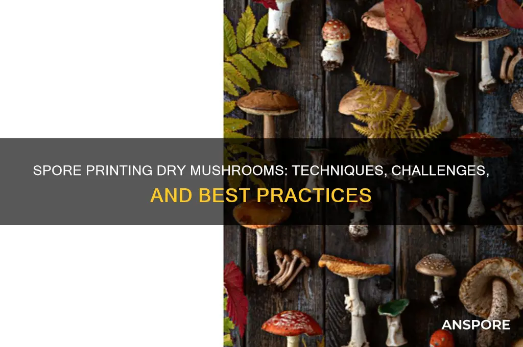 can you spore print a dry mushroom