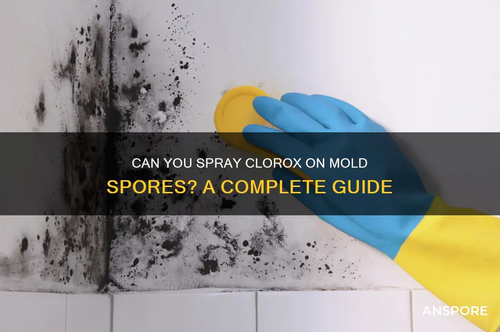 can you sprat clorx on mold spores