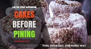 Spraying Mushroom Cakes Before Pinning: Best Practices and Tips