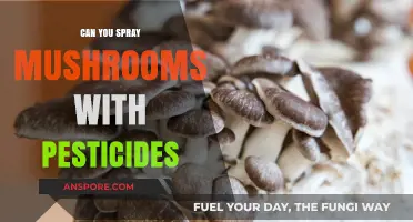 Spraying Mushrooms with Pesticides: Safe Practice or Risky Move?