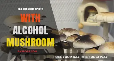 Using Alcohol to Spray Mushroom Spores: Effective Method or Myth?