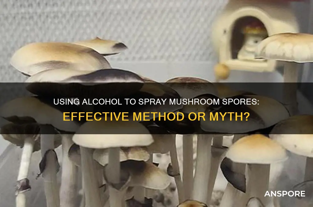 can you spray spores with alcohol mushroom