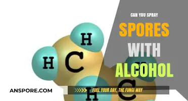 Spraying Spores with Alcohol: Effective Disinfection or Risky Practice?