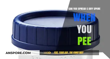 Can C. Diff Spores Spread Through Urine? Facts and Risks