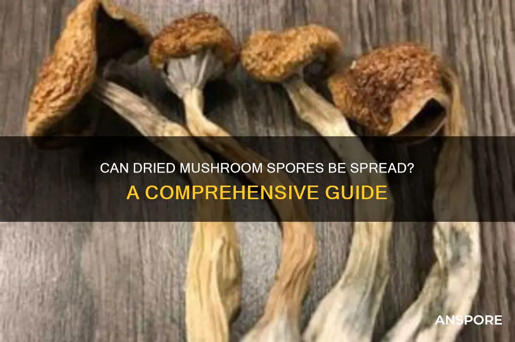 can you spread mushroom spores that have been dried